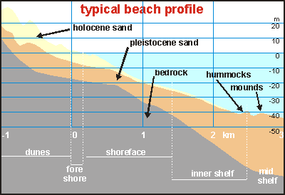 Profile of the beach and the sand above it.